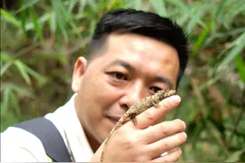 难得一见的“变色龙”—细鳞拟树蜥
#细鳞拟树蜥 #蜥蜴 #动物科普 #探粤自然  #神奇动物在抖音视频封面