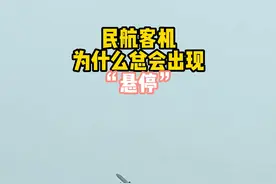 民航客机出现“悬停”，是因为视觉错觉造成的！根本原因是车辆旁边的树木后退的太快了！#科普 @抖音博士团