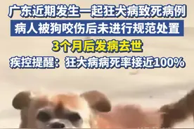 广东近期发生一起狂犬病致死病例，病人被狗咬伤后未进行规范处置，3个月后发病去世。