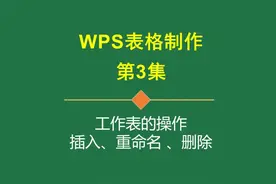 wps表格制作0基础入门篇 #wps表格入门基础教程视频封面