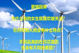 爱情因果：为什么有的女生就喜欢被关注？
