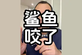 与虎鲨共舞？马代潜水事故的背后 #马尔代夫 #鲨鱼