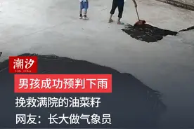 贵州。男孩成功预判下雨，挽救满院的油菜籽 网友：长大做气象员！您说他是怎么猜到的呢？