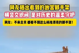 网友晒出看到的故宫脚手架，横竖交织间，是对历史的温柔守护，美得别具一格视频封面