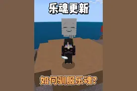 乐魂可爱捏！ #我的世界 #基岩版 #乐魂 #MC视频封面