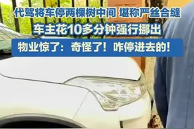 6月7日（采访），云南昆明，代驾将车停两棵树中间严丝合缝，第二天车主花10多分钟强行挪出！物业直接惊了：奇怪了！咋停进去的！#迷惑行为大赏 #代驾 #高手在民间视频封面