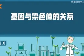 103、基因与染色体的关系视频封面