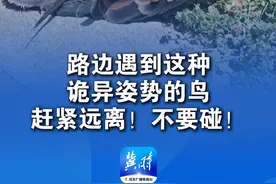 “颈部扭转、头部后仰呈望天状” 路边遇到这种诡异姿势的鸟 赶紧远离！不要碰！这是新城疫 抚摸、靠近得病鸟类 病毒会沾在皮肤、衣物上 #鸟类