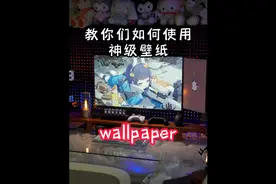 教你们如何使用神级壁纸，小白认真听讲#wallpaper #桌面改造