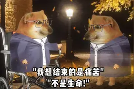 一句封神的顶级文笔——“我想结束的是痛苦，不是生命”