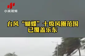 台风“蝴蝶”十级风圈范围已覆盖乐东 总台记者现场直击