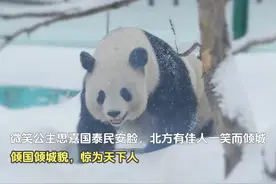 微笑公主思嘉长着一张国泰民安脸，北方有佳人，一笑而倾城。视频封面