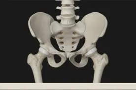 骨盆前倾怎么辨别 最准确的骨盆前倾判断方法#体态纠正 #骨盆前倾 #运动解剖 #运动康复 #干货分享视频封面