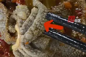 3月19日，广西柳州。女子吃火锅遇起泡毛肚：当时煮的时间并不长，也第一遇到这样的毛肚，求问网友这是能吃吗？