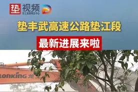 垫丰武高速公路垫江段最新进展来啦#重庆垫江