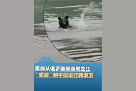 5月31日（报道），黑熊从俄罗斯横渡黑龙江，“偷渡”到中国进行跨境游，去年9月也有一只熊横渡而来，两个会是同一只吗？视频封面