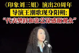 《印象刘三姐》演出20周年，导演王潮歌现身阳朔：“代表樊跃和张艺谋感谢观众” #桂林  #刘三姐  #广西三月三视频封面