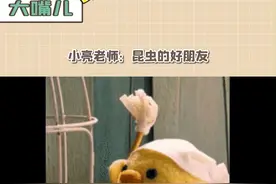 #小亮老师昆虫的好朋友 用最温柔的语气，科普最有用的方法。狐主任还得是你~~#无穷小亮的科普日常 #蟑螂 #搞笑 #万万没想到 #每日一笑视频封面