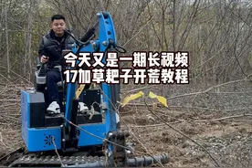 草耙子开荒教学#微挖 #小挖机 #小挖机厂家视频封面