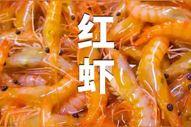 红虾中文学名中华管鞭虾，整体颜色鲜艳，虾身非光滑，口感非常鲜甜嫩滑，很多时候，我们拿来做呛虾或者刺身都是不错的选择。#红虾 #红头虾 #中华管鞭虾 #海鲜 #抖音海鲜推荐官 #海鲜小知识 #海鲜科普 #海鲜市场 #白藤头水产批发市场视频封面