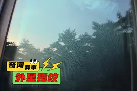 老哥说外星人闯入他家，在玻璃上留下一枚巨大指纹 #奇闻奇事视频封面