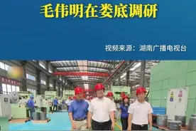 毛伟明在娄底调研 视频封面