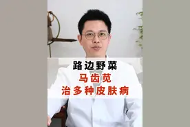 路边野菜 马齿苋，治多种皮肤病！ #硬核健康科普行动  #马齿苋 #金银花 #蒲公英 #医疗创作者培优计划