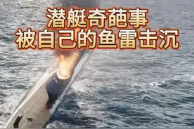 【战舰梗百科】 被自己发出去的鱼雷击沉，这原因太憋屈了 #战舰世界  #战舰世界国服  #游戏  #二战 #历史视频封面