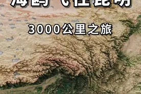 海鸥先头部队已抵昆明，从贝加尔湖到滇池，飞行3000多公里 #昆明海鸥回来了 #海鸥 #昆明 #地图上的惊喜