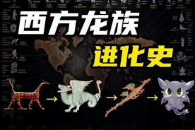 西方龙族进化史，龙：可以骂我、屠我，但我真不是大蜥蜴视频封面