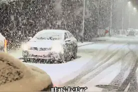 #山东烟台突降鹅毛大雪 ，开启“雪窝子”模式。当地市民：前后大概5分钟的时间，天气完全变了样！南方朋友：这雪能不能分我们一点儿？#你的城市下雪了吗 #冬天该有的样子 #南方人对雪的执着