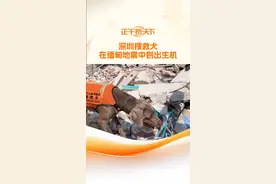 深圳搜救犬在缅甸地震中刨出生机 深圳公益救援队的拉布拉多搜救犬“多吉”以灵敏的嗅觉和顽强的毅力，成为废墟中点亮希望的“生命雷达”。据了解，它迄今已参加过至少5次救援行动，服务时长超过50小时。目前，“多吉”已在现场持续工作多时，还将随队持续开展搜救工作。#缅甸地震#缅甸地震已遇难2065人#视频封面
