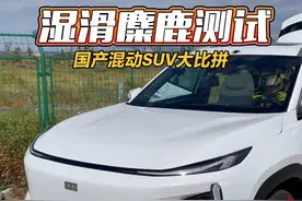 80km/h湿地麋鹿测试国产混动SUV大比拼！#2023懂车帝夏测  #2023懂车帝夏测大考成绩出炉 #选好车只看懂车帝实测认证视频封面