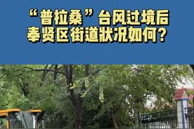 台风“普拉桑”二次登陆，奉贤“汛”速出击  抢险排涝在行动！视频封面