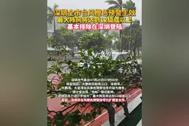 据深圳市气象台发布，预计未来6小时“韦帕”将继续向偏西方向移动，强度维持台风级或加强到强台风级，今日上午在深圳南部100公里左右近距离掠过，基本排除在深圳登陆。目前深圳东部沿海、高地和深汕部分站记录到8-10级阵风，预计随着台风靠近，今天上午风力进一步增大。（广东台记者蒋弘业）