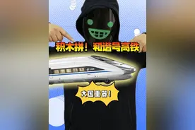 大国重器！用积木拼和谐号动车！ #万物皆可乐高积木 #动手动脑 #和谐号 #内容启发搜索视频封面