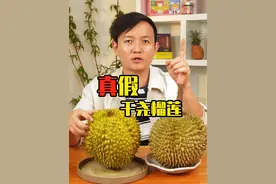 干尧榴莲，真假立判 #喜欢吃榴莲的看过来 #榴莲 #干尧榴莲 #榴莲自由 #科普视频封面