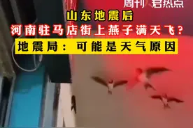 #地震局回应河南驻马店街上燕子满天飞 ：可能是天气原因。#泌阳县燕子凌晨满天飞   #周刊君热点视频封面