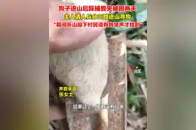 6月18日（采访日期），浙江杭州。女子家中的狗冲进大山里一夜未归，怕出意外请了很多人兵分三路寻狗……视频封面