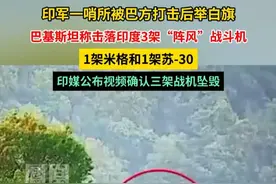 印军一哨所被巴方打击后举白旗，印媒公布视频确认三架战机坠毁。#媒体精选计划视频封面