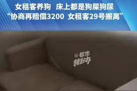 （四）女租客养狗   床上都是狗屎狗尿 
“协商再赔偿3200  女租客29号搬离”
如女租客15天内不赔偿 由男租客代还
#都市接到办视频封面