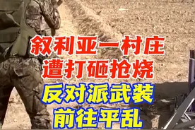 叙利亚的“一夜变天”，希望能变得越来越好...视频封面