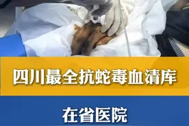 注意！四川最全抗#蛇毒血清  库在省医院，可治疗所有#蛇毒 #四川省人民医院视频封面