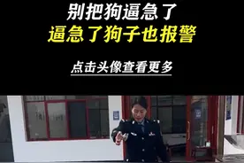 动物遇到苦难，竟也知道报警... #离谱 #狗子成精了 #万万没想到视频封面