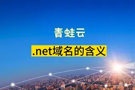 .net域名的含义
.NET域名是一种顶级域名(Top Level Domain, TLD)视频封面