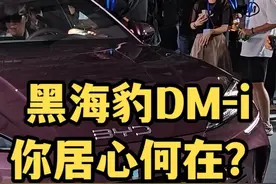 黑比亚迪海豹DM-i的居心何在？就算是汉也要敬畏它！#比亚迪海豹