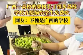 广西一高校的果树长了很多荔枝，学校直接摘给学生免费吃！不愧是广西的学校~#广西 #校园 #请学生吃水果  （数字）视频封面