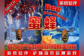SWITCH双人成行蜜蜂版《蜜蜂》 #switch #双人成行 #模拟游戏