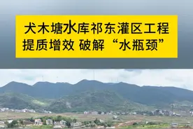 犬木塘水库祁东灌区工程 提质增效 破解“水瓶颈”#水利工程 #工程建设 #祁东视频封面