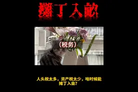 人头税太多，资产税太少，啥时候能摊丁入亩？视频封面